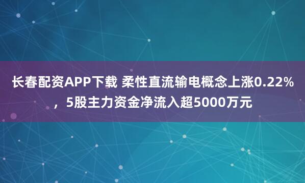 长春配资APP下载 柔性直流输电概念上涨0.22%,5股主力资金净流入超5000万元