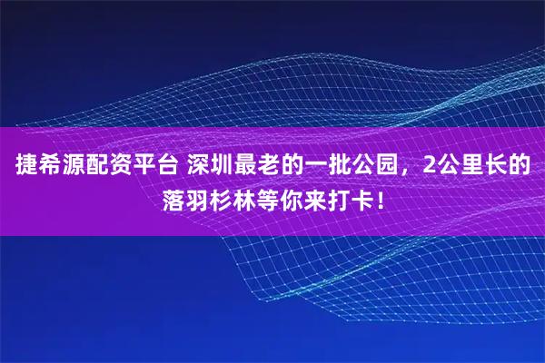 捷希源配资平台 深圳最老的一批公园，2公里长的落羽杉林等你来打卡！