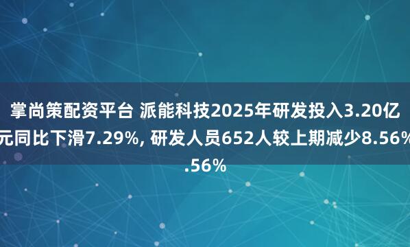掌尚策配资平台 派能科技2025年研发投入3.20亿元同比下滑7.29%, 研发人员652人较上期减少8.56%